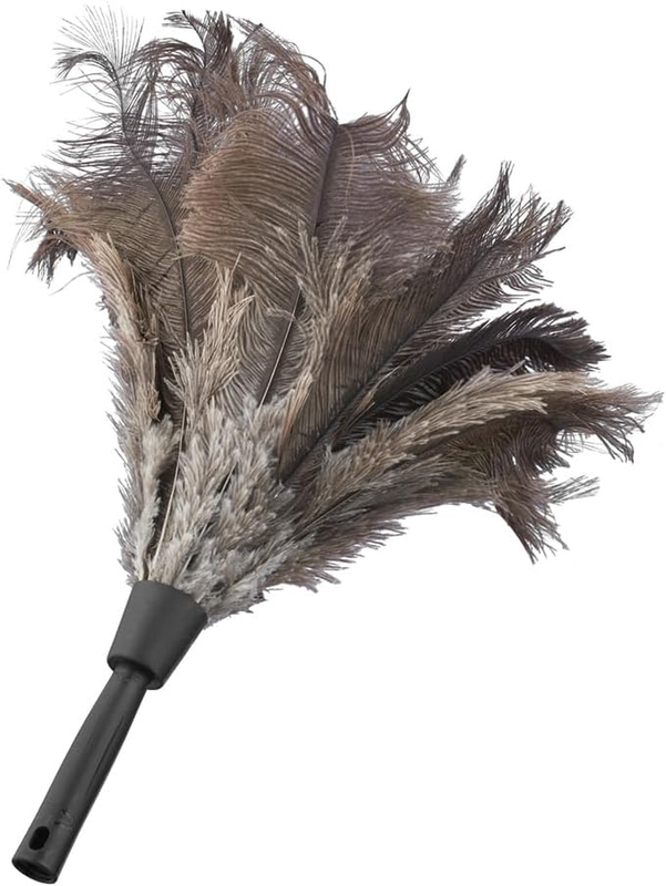 Ostrich Feather Duster, 18