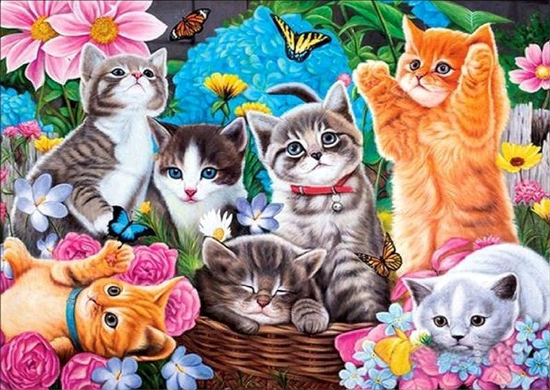 DIY 5D Diamond Painting Kits for Adults, Cats Diamond Art Full Drill round Cr