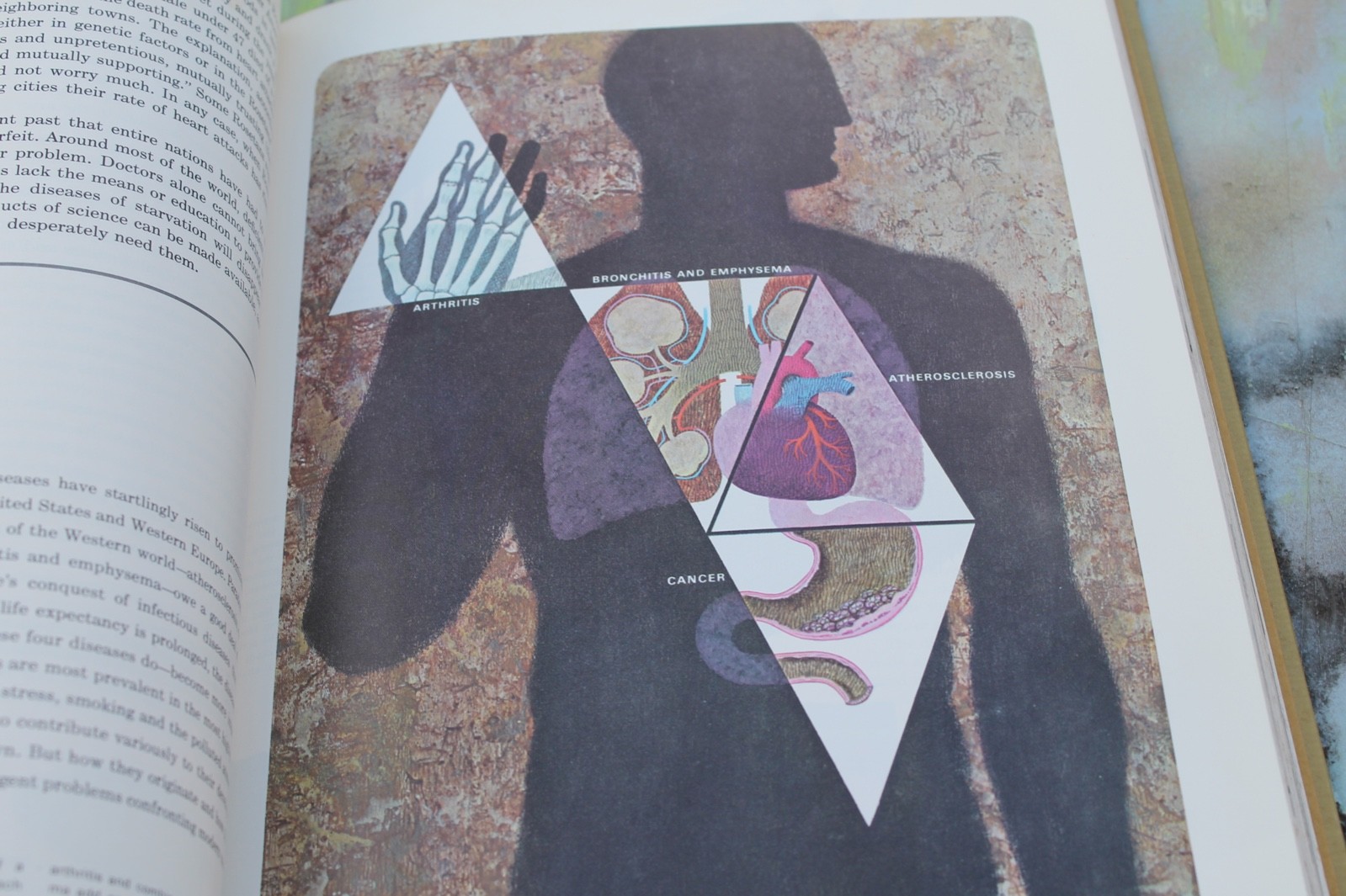 Health & Disease Time Life Science Library Hardcover FREE SHIPPING!