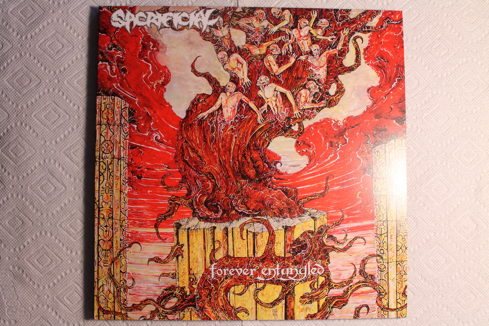 $_57.JPG?set_id=880000500F