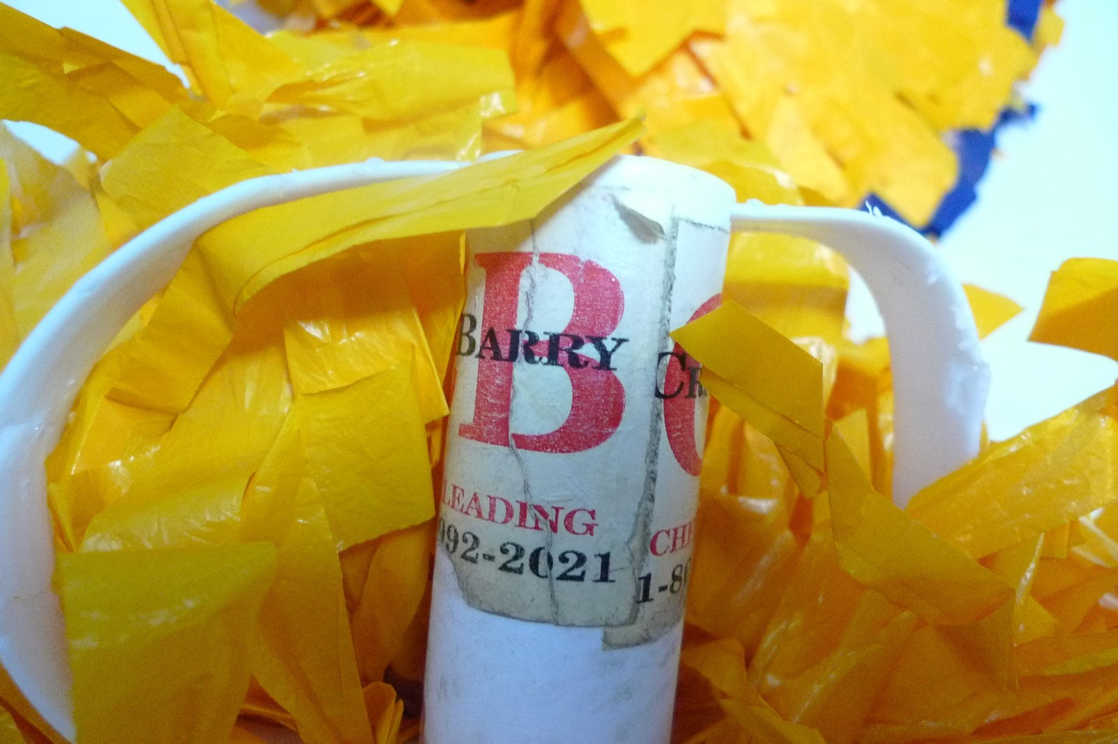 Yellow Navy Blue Cheerleading Poms for Halloween Costume CranBarry