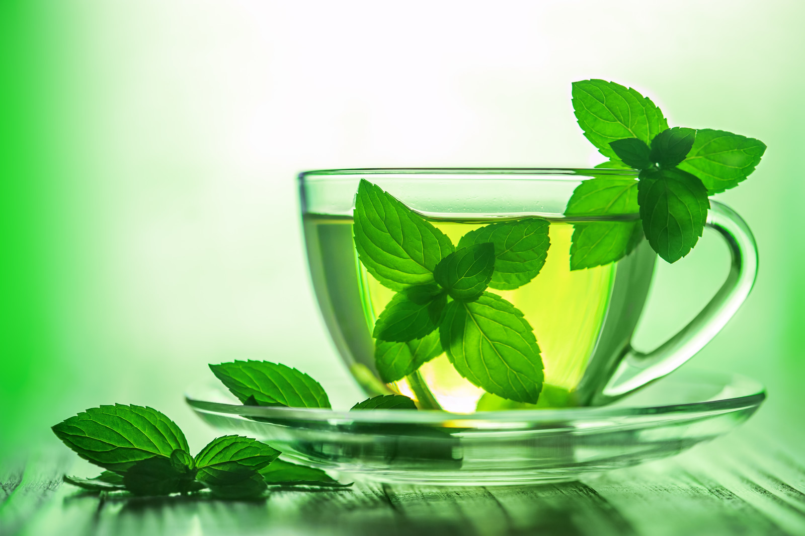 EUCALYPTUS SPEARMINT by Peak® Type Soap/Candle Making Fragrance Oil 1-16 Ounce
