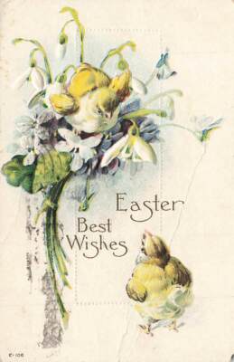 c1910 Fantasy Chicks Sitting On And Below Lilies Easter P162