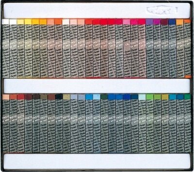 PENTEL CRAYON Oil Pastel for Artist PTA-50D 50 Sticks 49 Colors (2 Whites) Japan