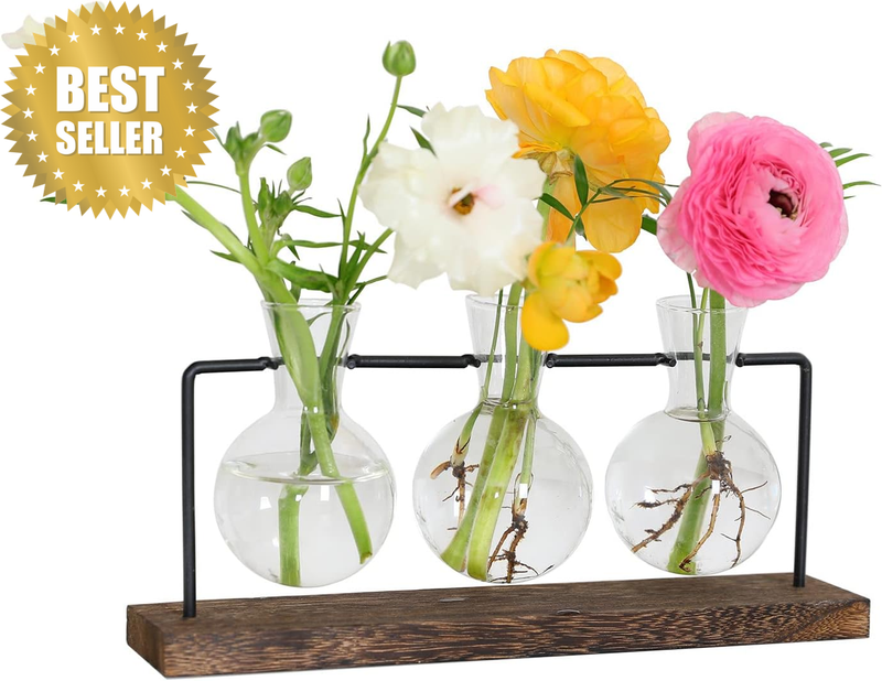 Plant Stand, 3Pcs Bulb Vases Wooden Stand, Terrarium Glass Planter for Hydroponi
