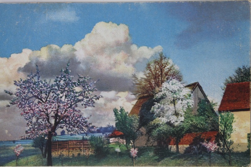 29692 Ak Photochromie NÂ° 4273 Fleurs D'Arbre Ã Seifersdorf Wachau 1920