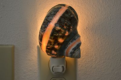GREEN BANDED JADE TURBO SEA SHELL NIGHT LIGHT BATHROOM KITCHEN #7214