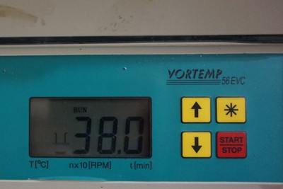 LabNet Vortemp 56 EVC Incubator Shaker orbital thermoshaker minishaker plate