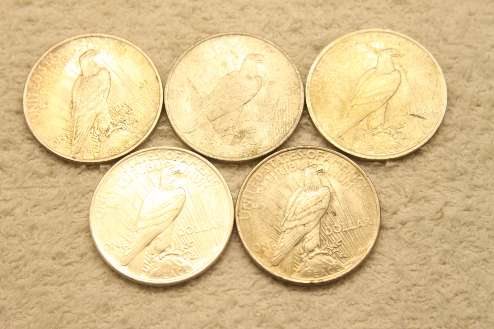 Lot of 5 UNC Silver Peace Dollars 1923 #11