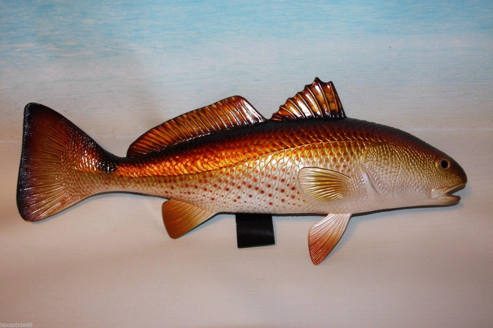 (1) Large 19 inch Redfish, FIsherman Gift, Ready mount, Ultra Realistic, 3-D