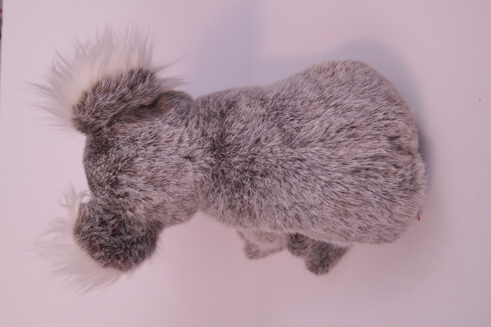 TY Beanie Baby Koala Bear Beaut Plush 2003