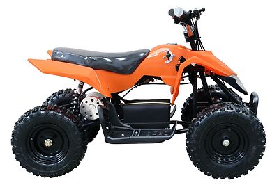 24v quad bike