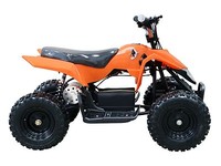 24v electric quad bike