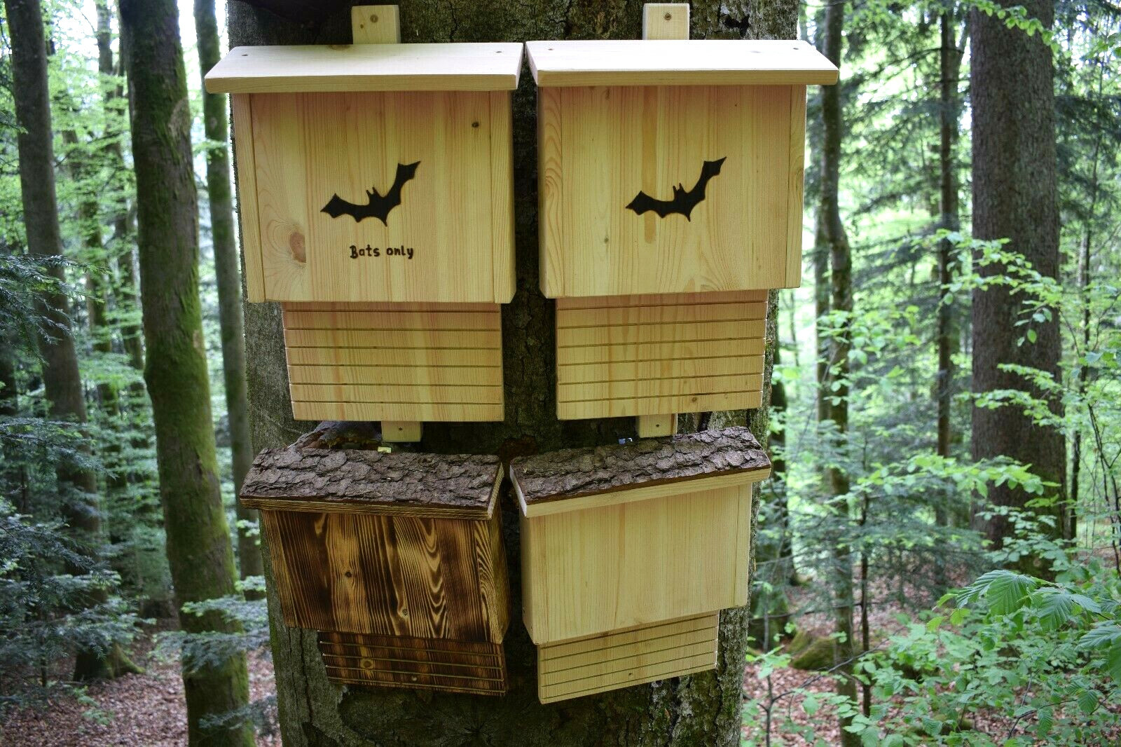 Fledermauskasten Brutkasten Fledermausnistkasten Fledermaushotel Nistkasten