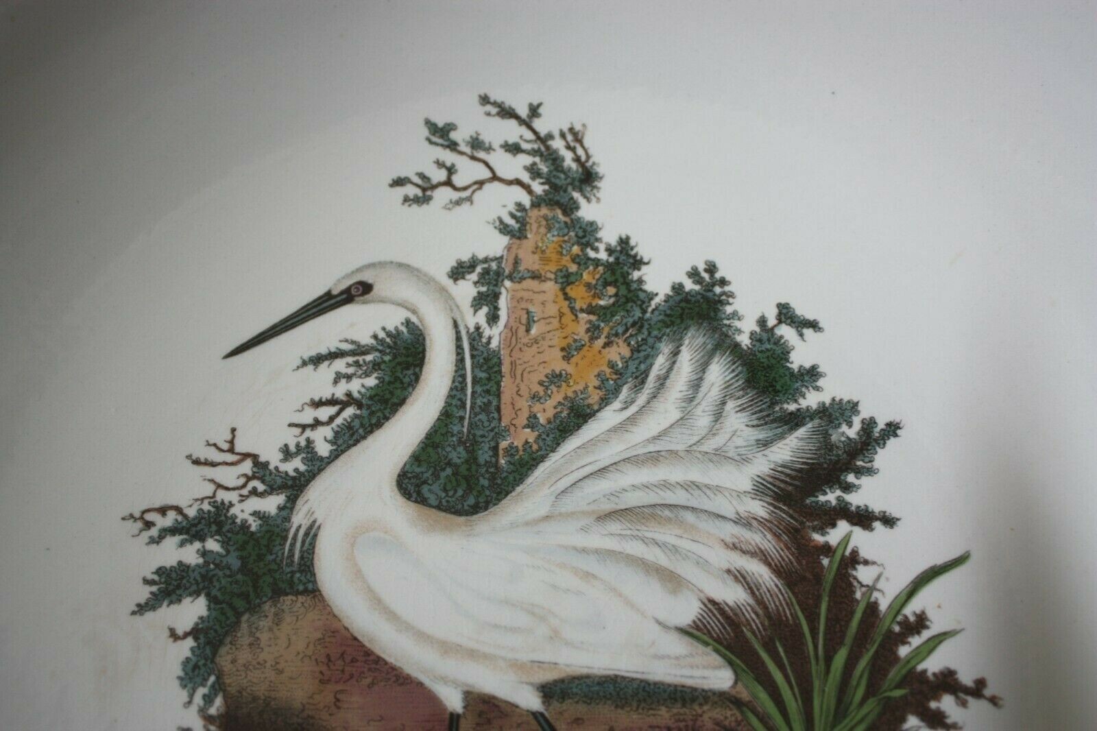 Portmeirion Birds of Britain LITTLE EGRET Large Serving Bowl England 13