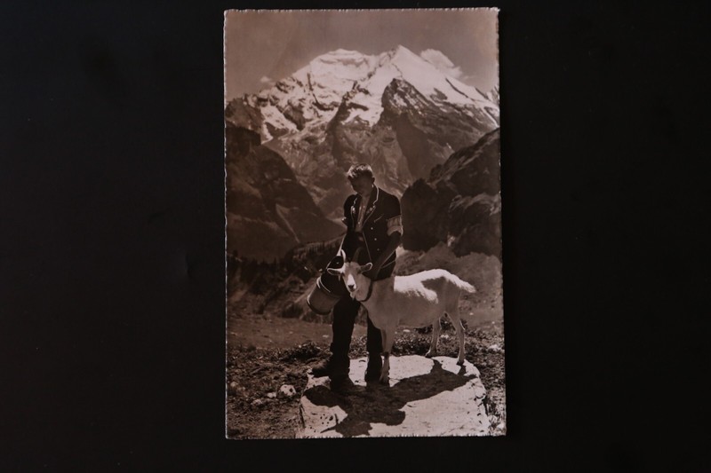 Carte Postale Ancienne: ScÃ¨Nes Des Alpes - 8924 Sur L'Alpe