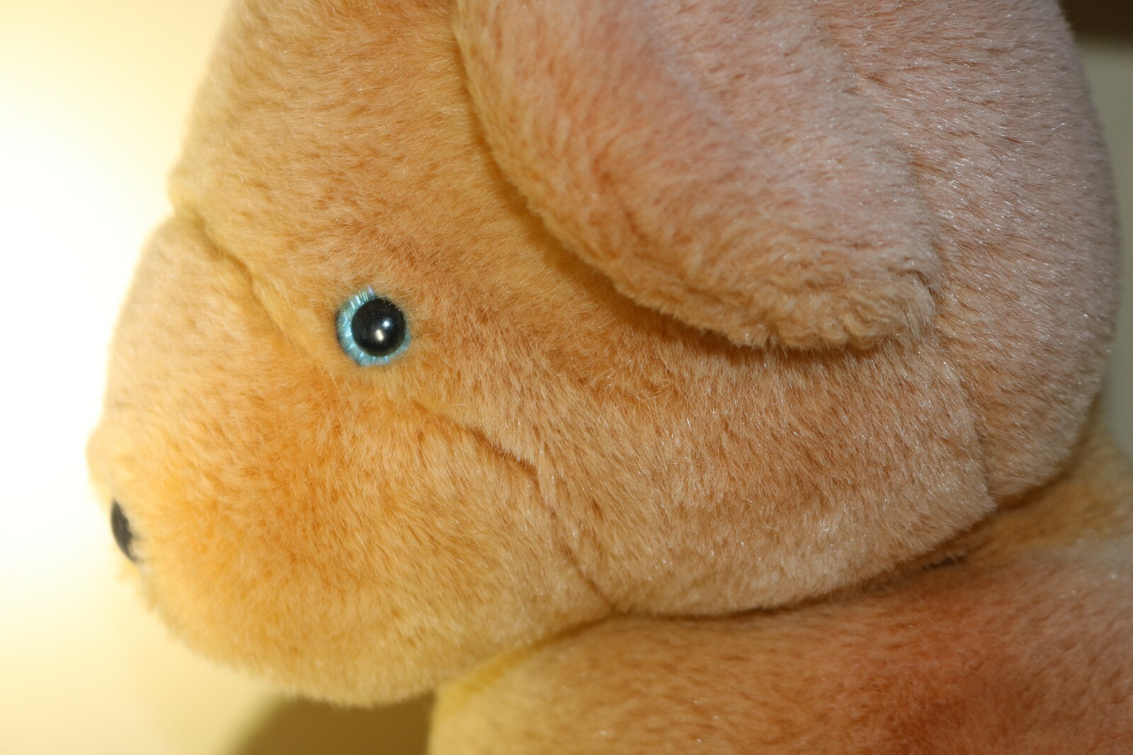 North American Bear Co. Bearman of the Board 1984 blue eyes 22 inches long