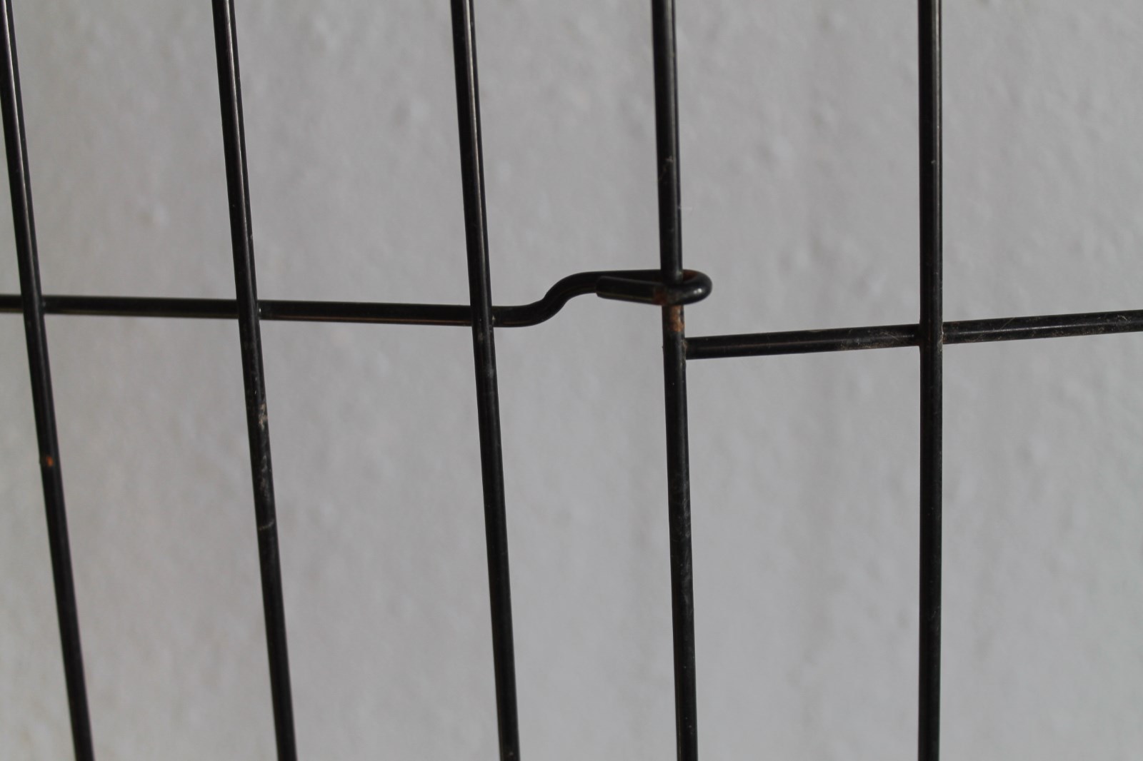 Midwest Life Stages Divider Panel for 1642DD Big Dog Crate