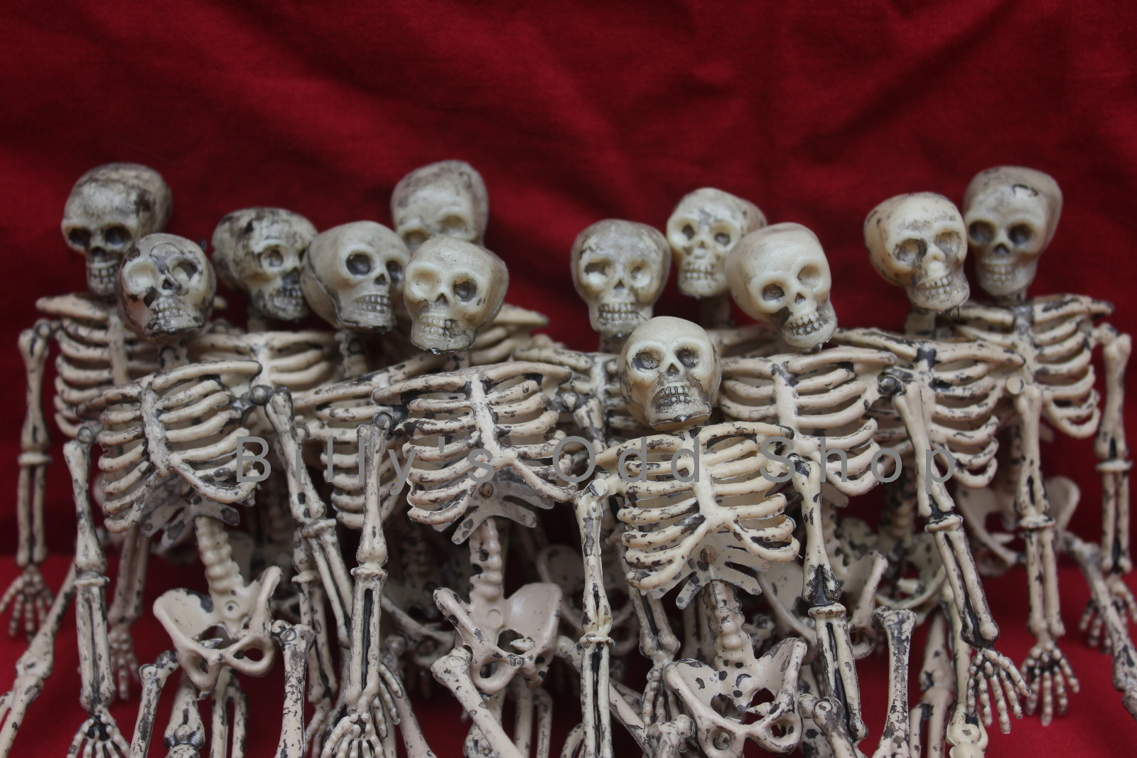 Опора тела организмов. Женский скелет. Скелет служит опорой тела. Скелет 6. Скелет кс 1.