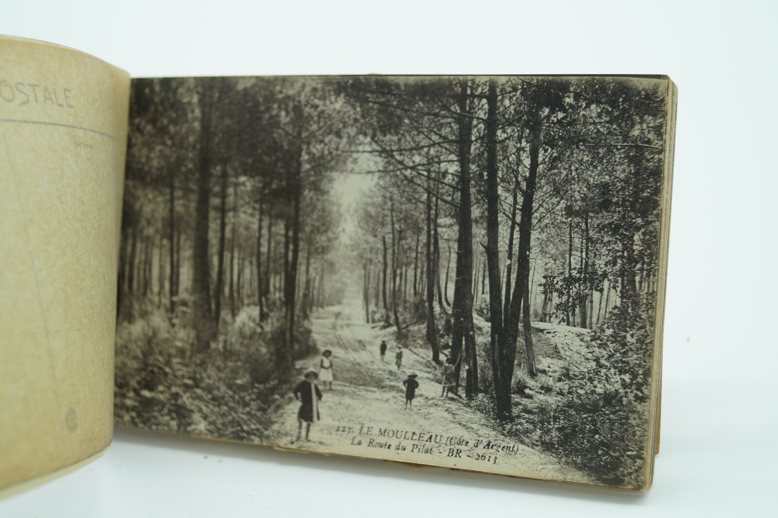 ARCACHON Book of 24 Unused French Postcards Photos