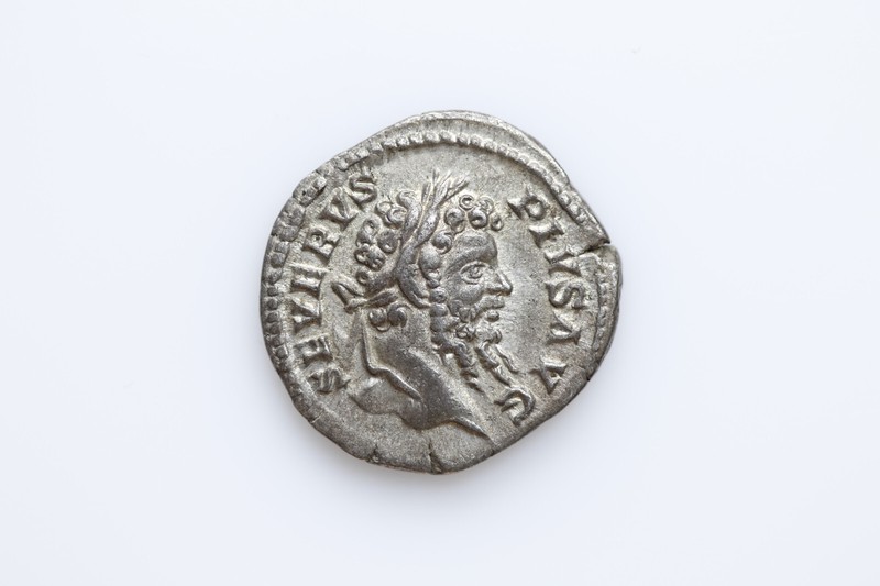 Septimius Severvs - Denar - Vota Svscepta Xx