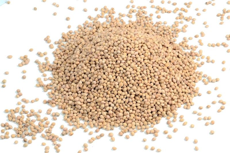 Kirschkerne Lose FÃ¼R Kirschkernkissen WÃ¤Rmekissen Gereinigt Kirschsteine 2kg