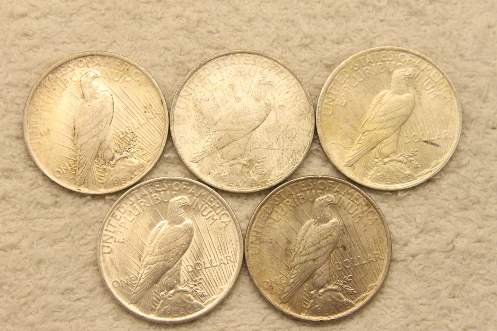 Lot of 5 UNC Silver Peace Dollars 1923 #11