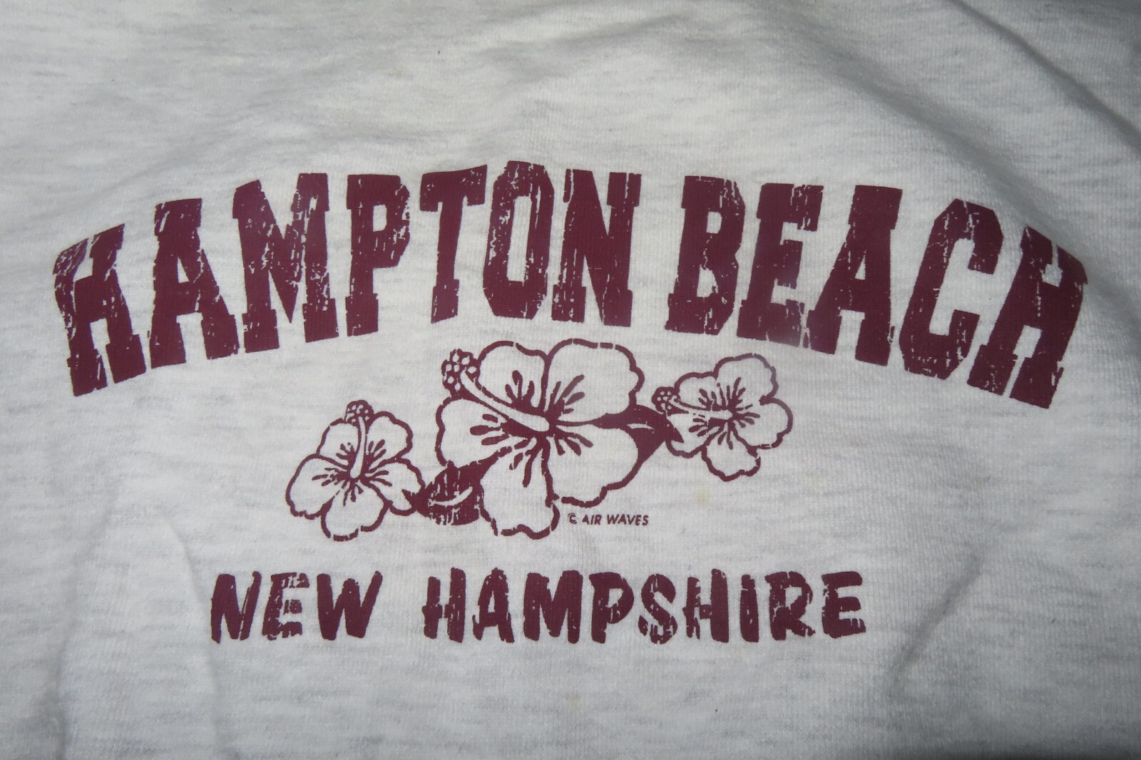 Vintage Cotton Deluxe Fleece Label - HAMPTON BEACH New