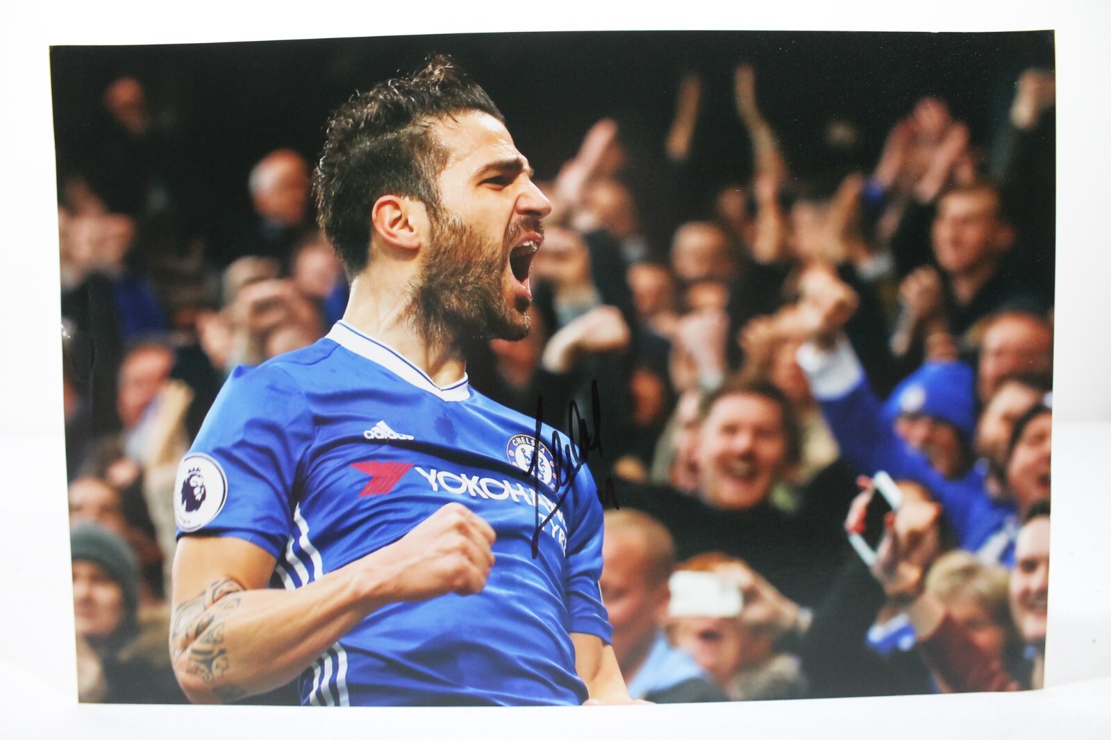 Cesc Fàbregas サイン入り写真 フレーム付き cesc-fabregas-signed-plaque-