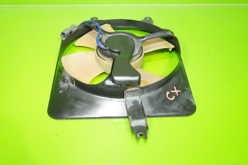 Picture 3