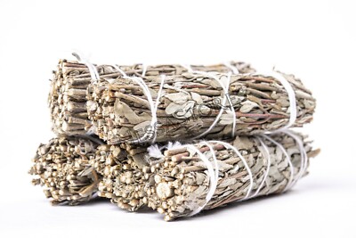 Royal Sage Salvia Officinalis Real Smudge Incense 4'' Bundle (5 pcs) #JC-146
