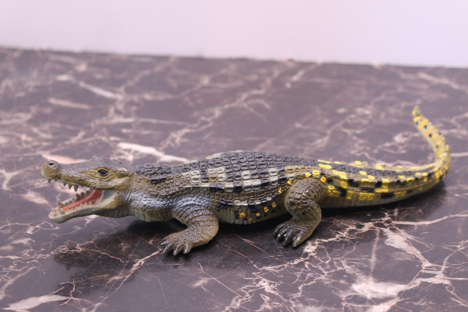 小物 WILD SWANS CROCODILE / NORMA(S) 小物 WILD SWANS CROCODILE / NORMA(S)