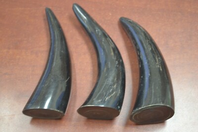 3 PCS LARGE BLACK POLISHED WATER BUFFALO SOLID VIKING TIP HORNS 6'' - 7'' #262