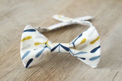 Cream and Blue Bow Tie w/Yellow Boys Size 5-10 Years Adjustable Organic Bowtie