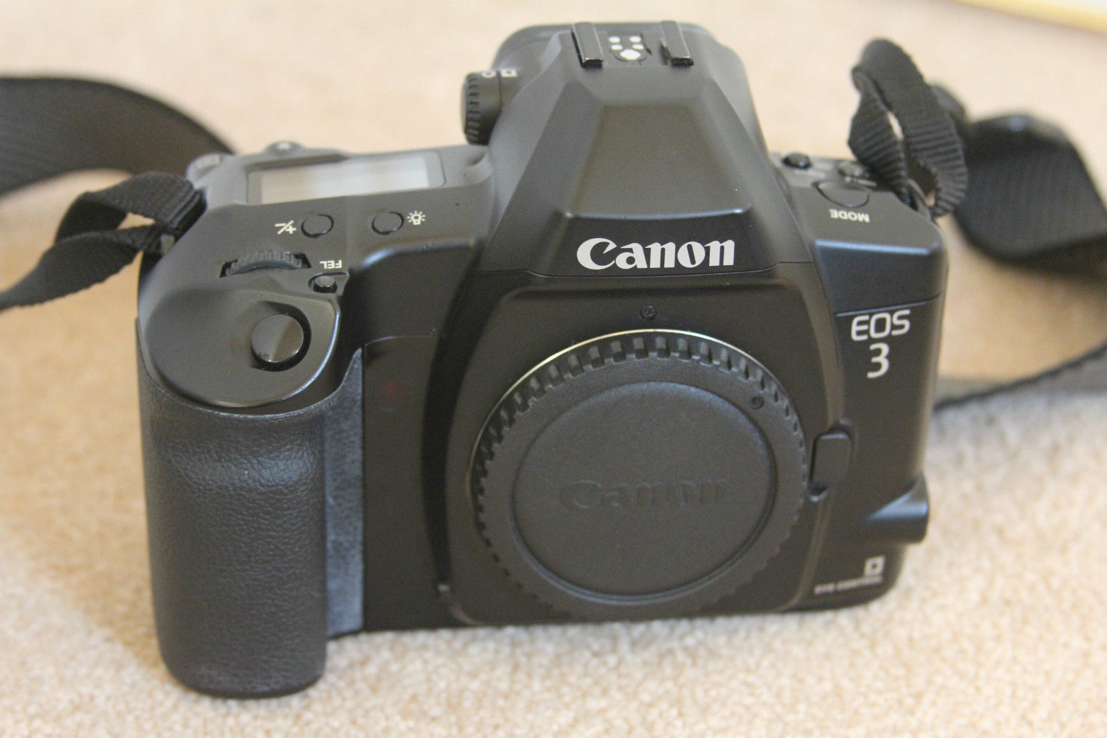 Canon Film Photography