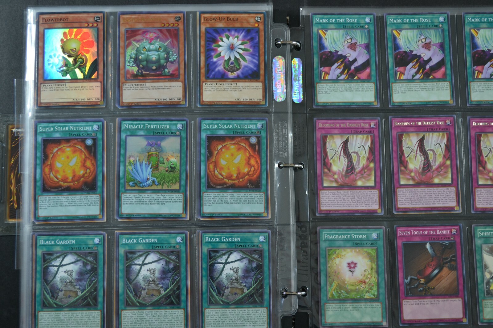 Yugioh Rose 3 Lot Deck Collection 46 Cards 16 Holos & Rares Black Rose Dragon