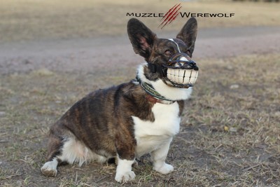 smile muzzle