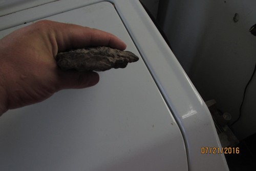 Vintage Missouri Petrified Wood truned To stone very heavy