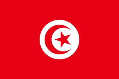 BANDIERA NAZIONALE TUNISIA NATIONAL FLAG DRAPEAU DE LA TUNISIE cm 90 x150