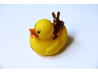 first rubber duck