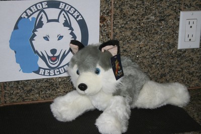 plush siberian husky