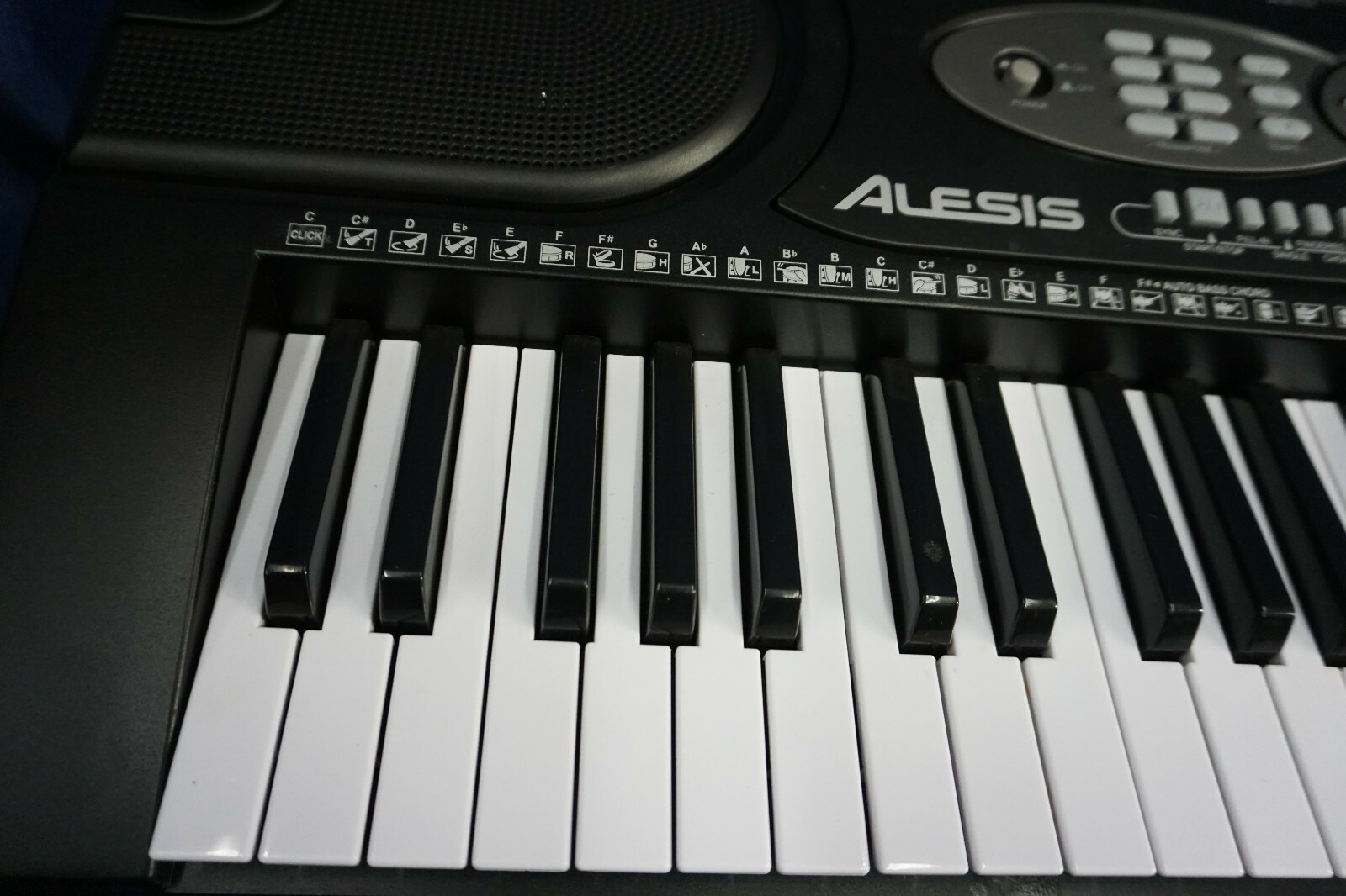 Alesis Melody 61 Portable Keyboard With Built In Speakers