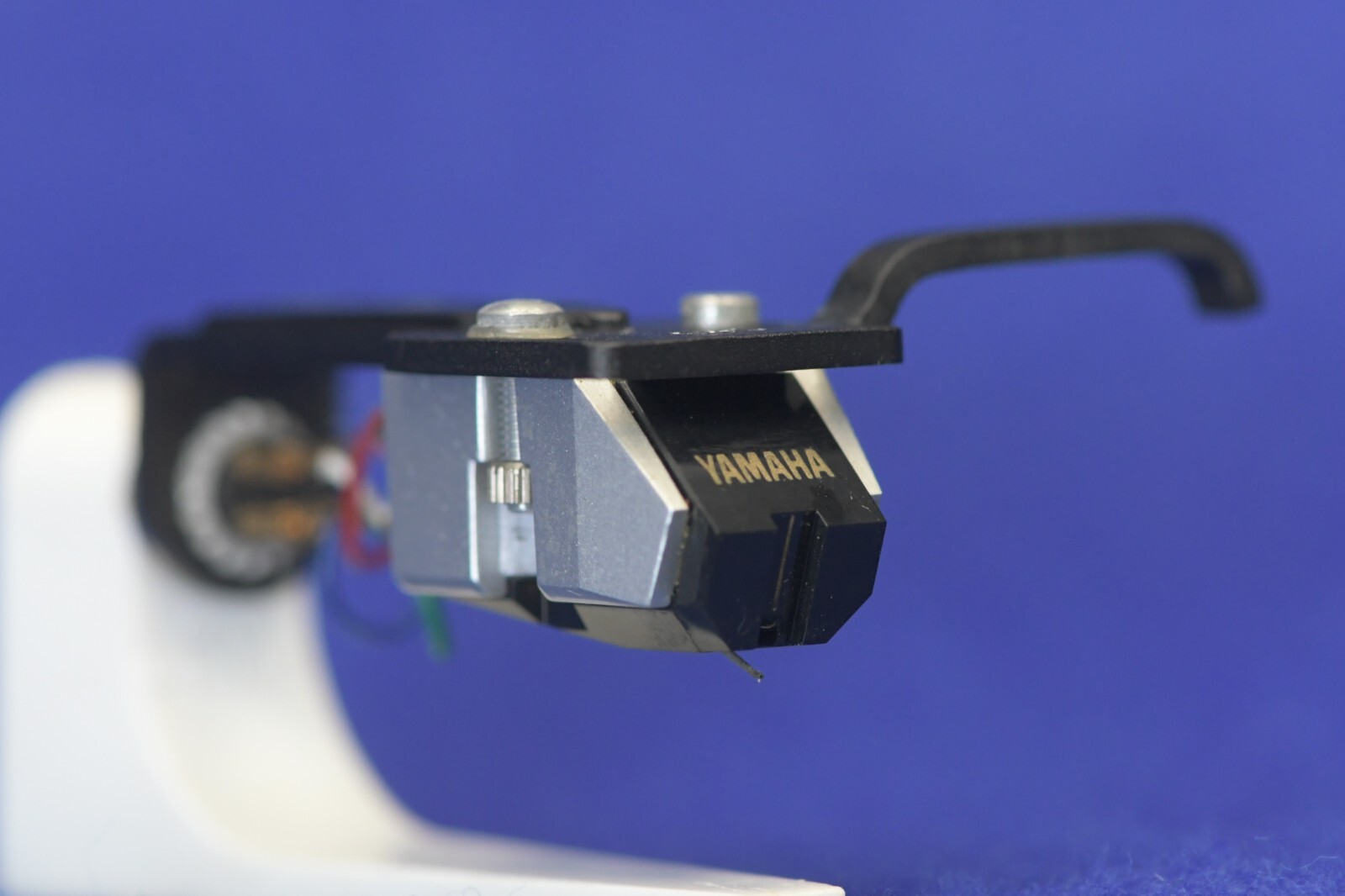 _57.JPG?set_id=880000500F