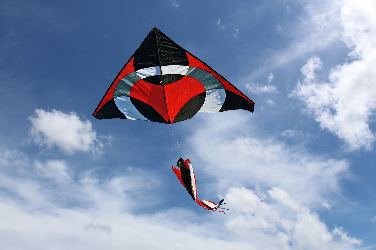 дети запускают воздушного змея. воздушный змей дракон. воздушный змей. воздушный змей его полет высок. воздушный змей голубь.