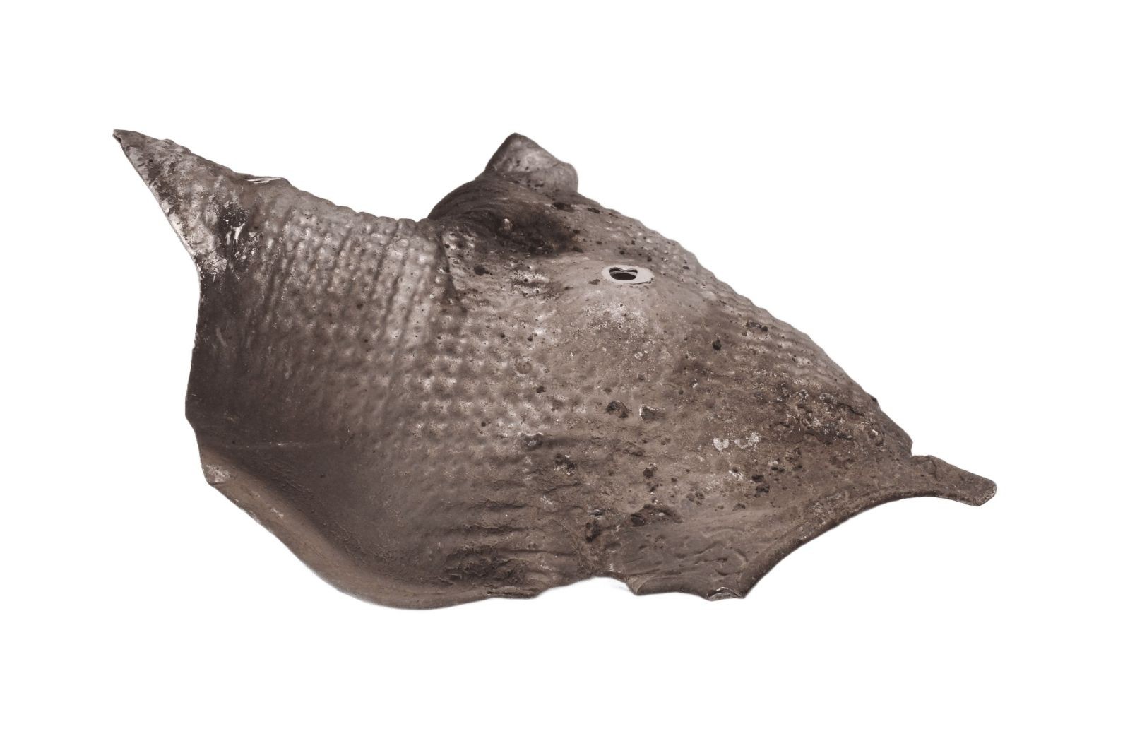 Couvercle de protection du collecteur d'échappement avec écran thermique BMW K 1200 S K12S K40 05-08