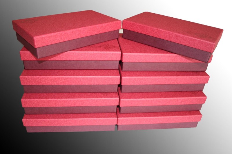 10x Hochwertige Geschenk Schachteln L 22cm,B 13 Aufbewahrungs-GebÃ¤Ck-Pralinenbox