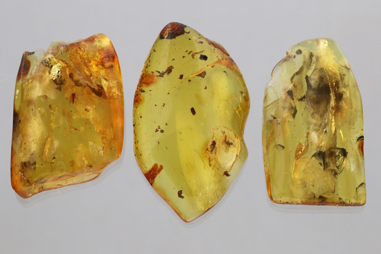 LOT of 3 Fossil Insect Genuine BALTIC AMBER Large Pieces