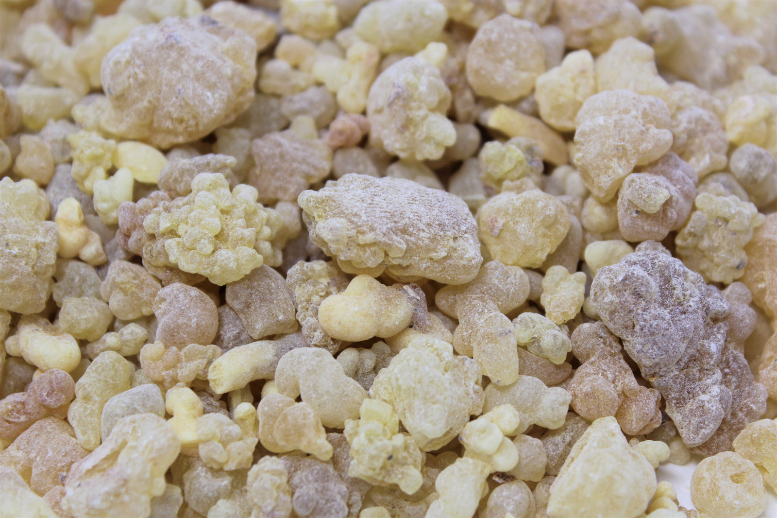 Natural A Grade Frankincense Resin Incense Granular: Choose oz or lb Bulk Lots