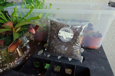 High Quality Carnivorous Plant Soil Mix Ready to Use Venus Flytrap Pitcher Plant