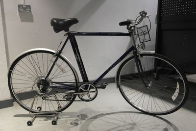 Raleigh Merlin Road Bike